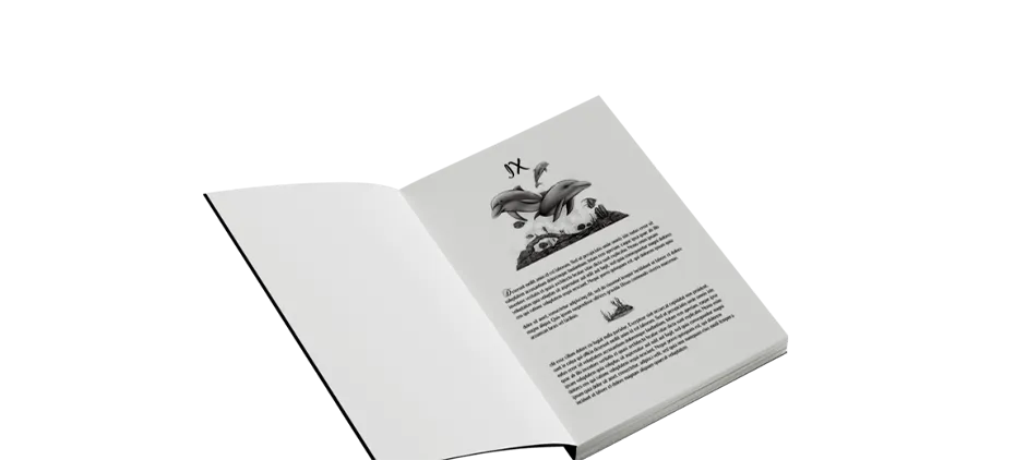 Story Structuring by Falcon Publisher