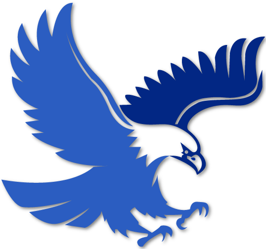 process of Falcon Publisher